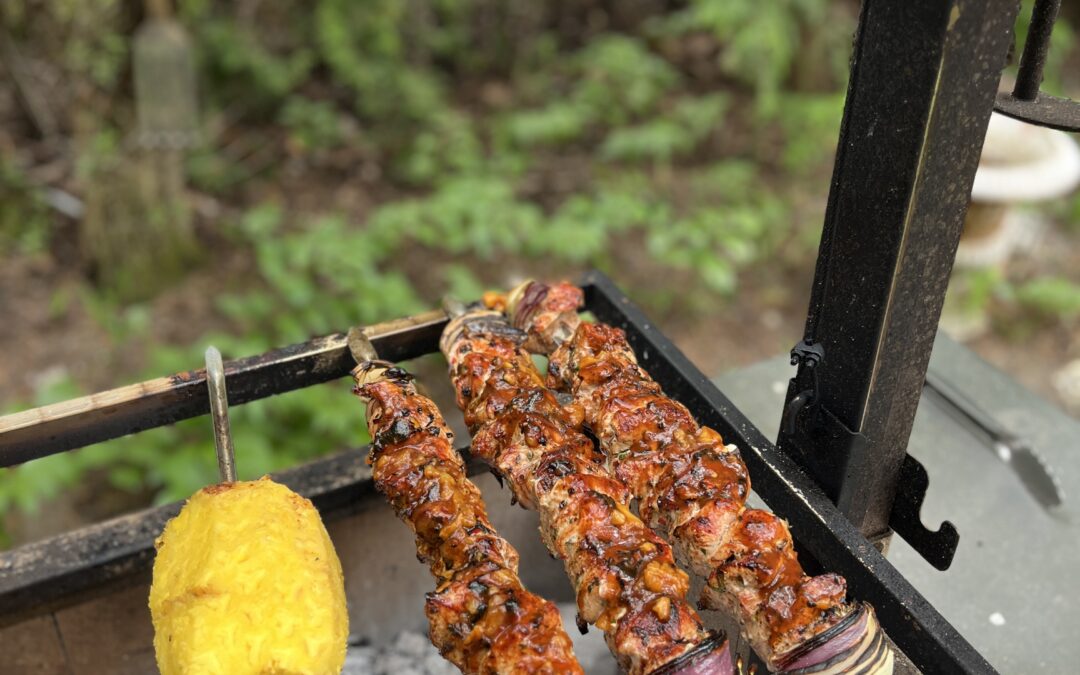 Tropical Turkey Kebabs